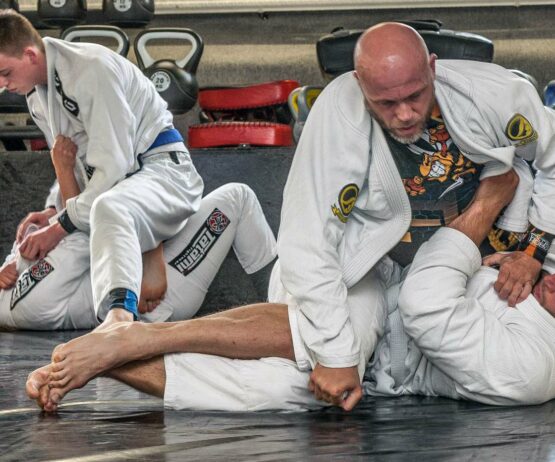 BJJ Kurs Anfaenger